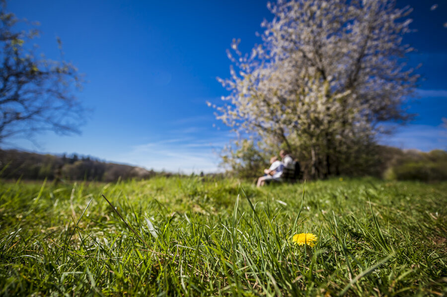 Wanderer auf Bank am alten Weg