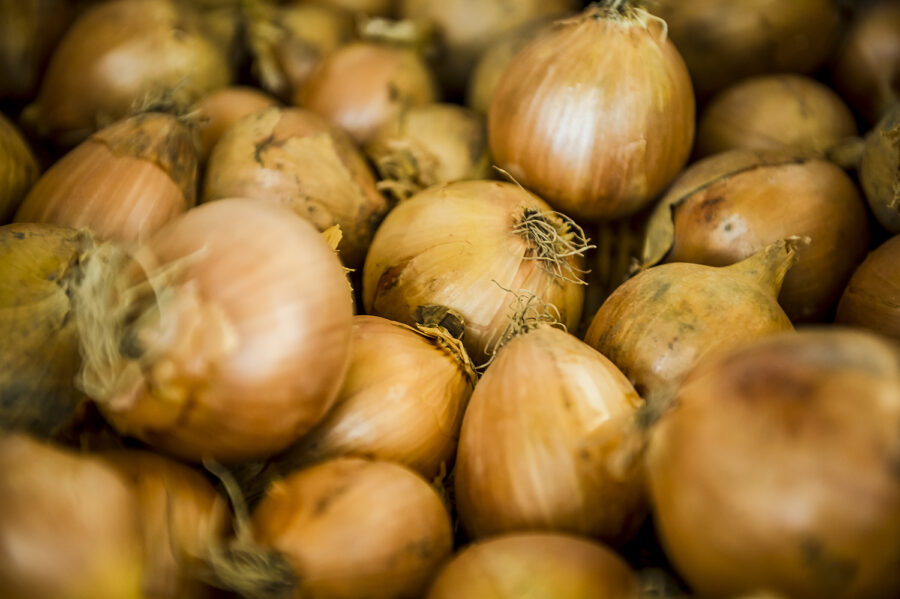 Bio Zwiebeln, Hofladen