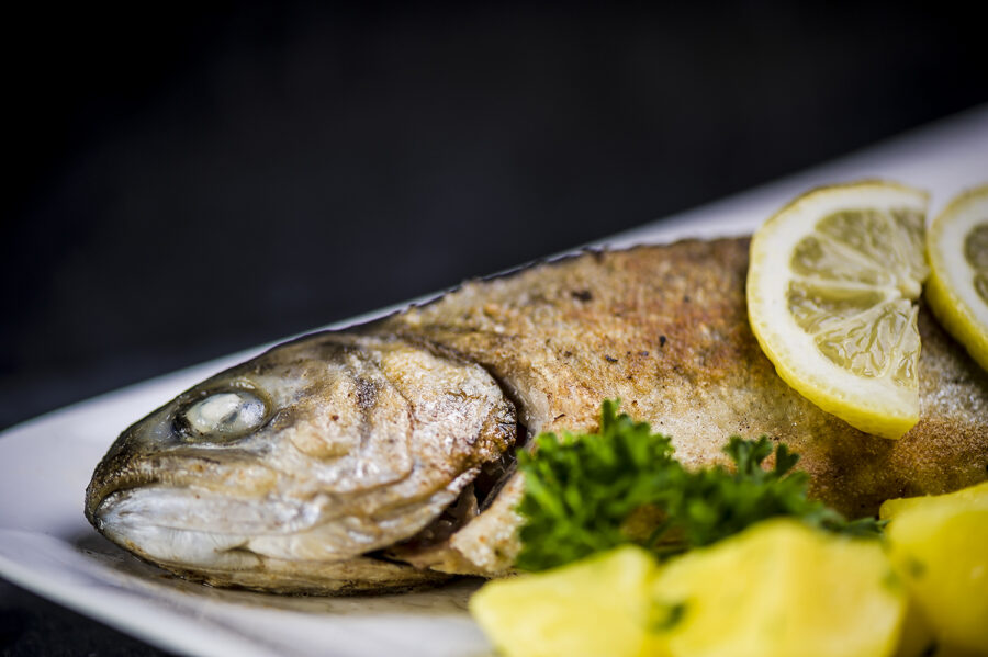 Detailbild Forelle Müllerin