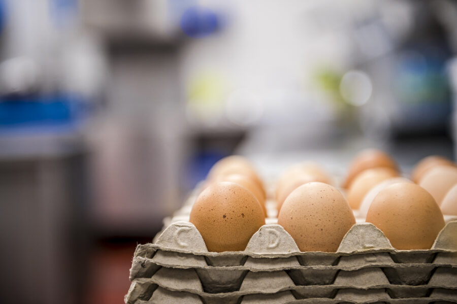 Unsere Hochwälder LandEier in der Hofküche