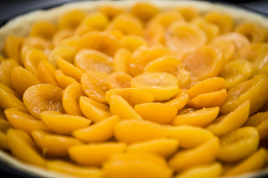 Aprikosen-Kuchen in der Hofkonditorei