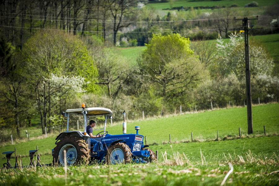 historischer Ford Traktor beim Pflügen