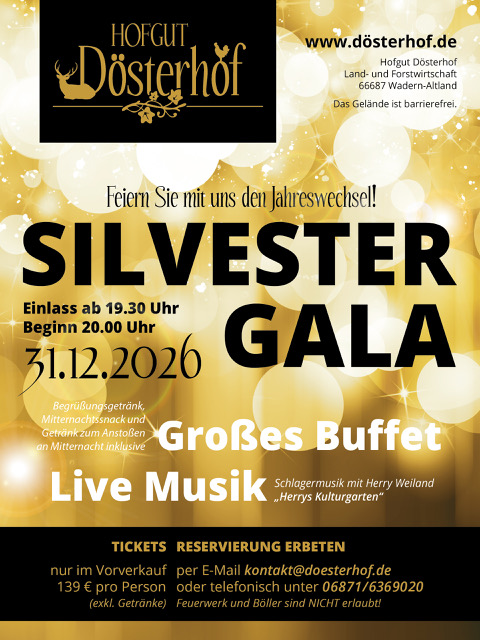 Plakat zur Silvester Gala 2026